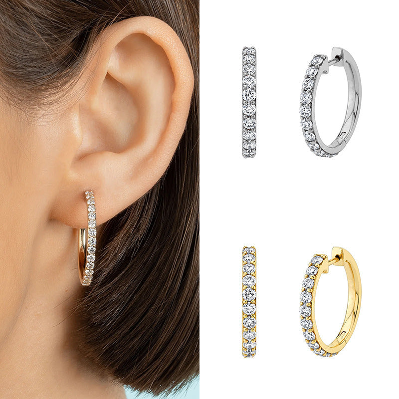 Luxury Zircon Earrings Ear Ring